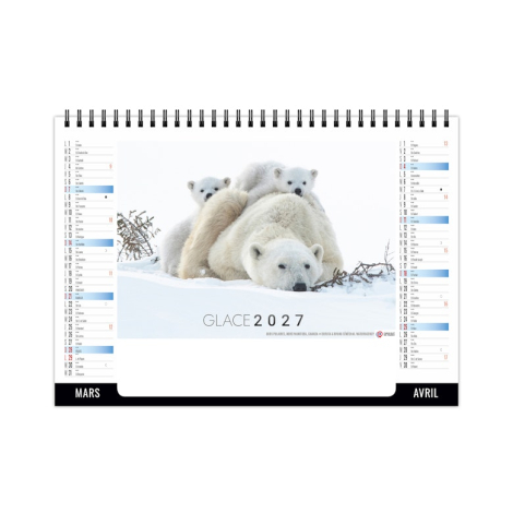 Chevalet de bureau illustré d’une famille d’ours polaires évoluant sur la banquise.