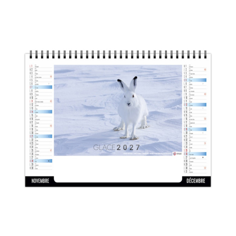 Chevalet de bureau illustré d’un lièvre arctique dans son habitat naturel enneigé.