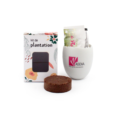 Kit de plantation présenté sur fond blanc avec boîte illustrée, petit pot blanc personnalisé contenant un sachet de graines et p