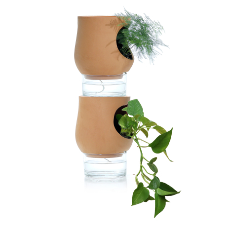 Deux pots de fleurs en terre cuite avec réserves d’eau transparentes, empilés et garnis de plantes vertes sur fond blanc.