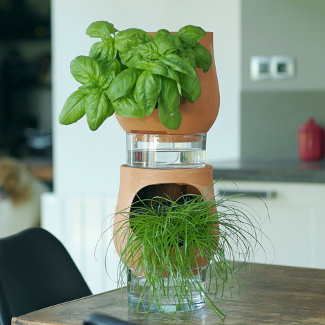Pot de fleurs en terre cuite avec réserve d’eau transparente, contenant une plante verte retombante sur fond blanc.