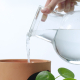 Arrosage d’un pot de fleurs en terre cuite avec réserve d’eau transparente à l’aide d’un pichet.