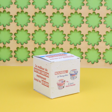Boîte cube personnalisée en carton ensemencé avec impression publicitaire sur plusieurs faces, présentée sur fond jaune et décor