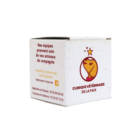 Boîte cube personnalisée en carton ensemencé avec logo et messages imprimés sur plusieurs faces, présentée sur fond blanc.