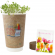 Kit de plantation publicitaire
